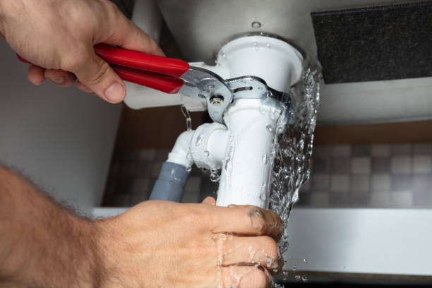 Best Local water damage restoration  in Bear Valley Springs, CA