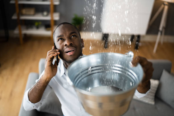 Best 24/7 water damage repair  in Bear Valley Springs, CA