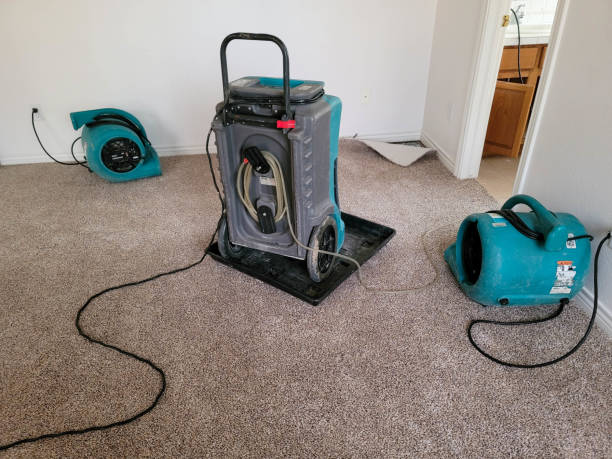Best Fire Damage Restoration  in Bear Valley Springs, CA