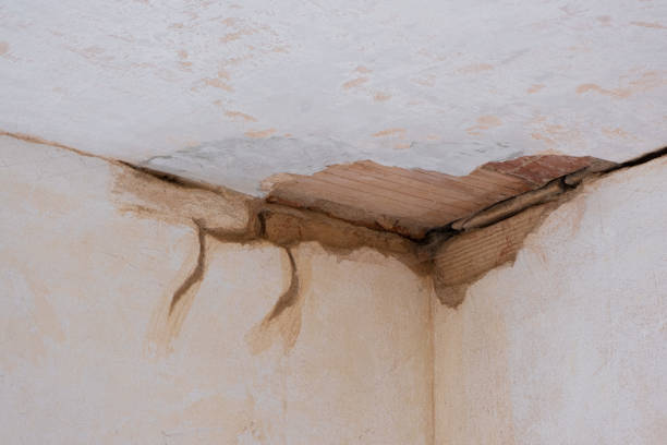 Best Residential water damage restoration  in Bear Valley Springs, CA