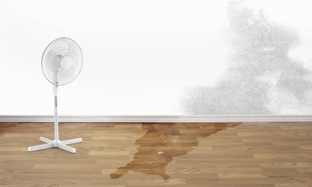 Best Water damage restoration services  in Bear Valley Springs, CA