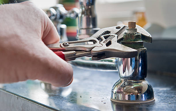 Best Mold removal after water damage  in Bear Valley Springs, CA